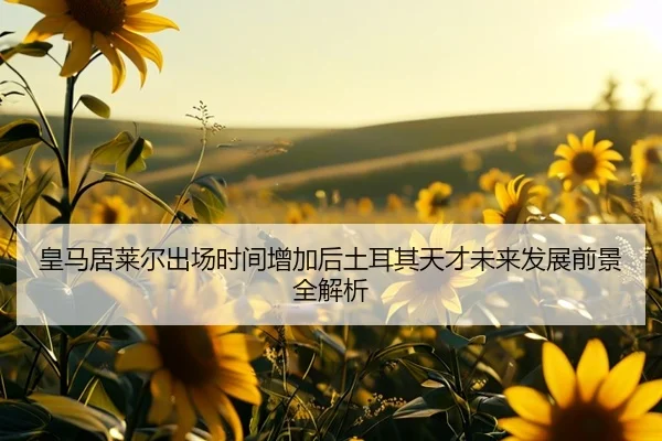 皇马居莱尔出场时间增加后土耳其天才未来发展前景全解析