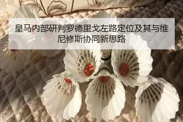 皇马内部研判罗德里戈左路定位及其与维尼修斯协同新思路