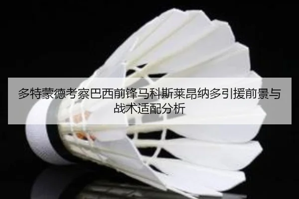 多特蒙德考察巴西前锋马科斯莱昂纳多引援前景与战术适配分析 - kaiyun